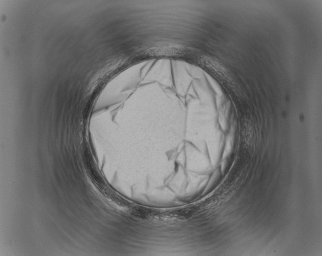 X0000061120586200512161441