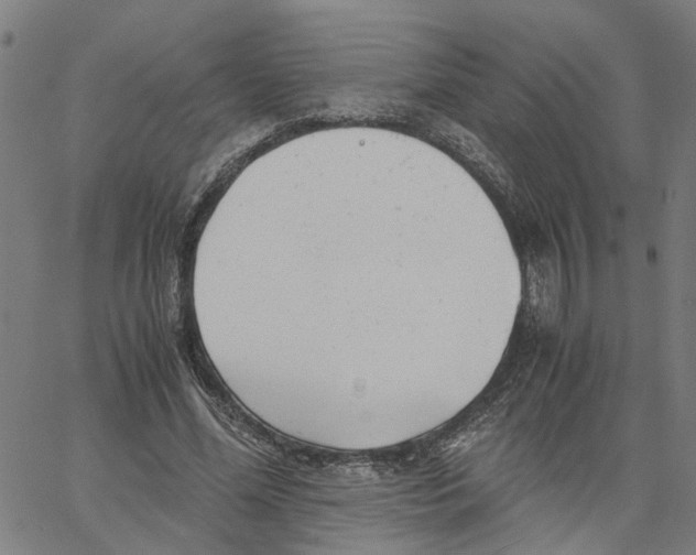 X0000061120588200512161441