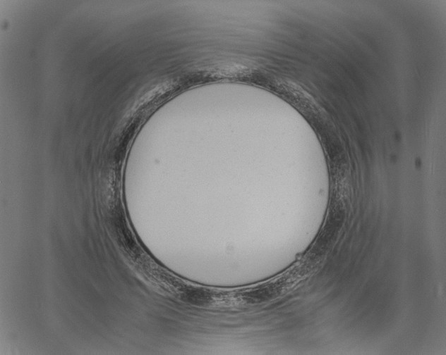 X0000061120591200512161441