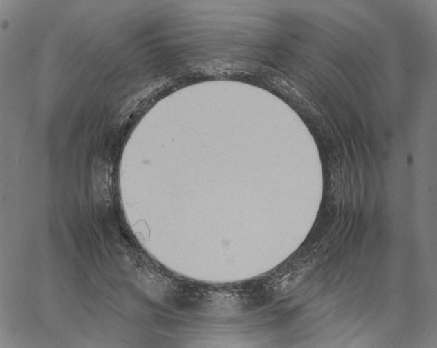 X0000061120592200512161441
