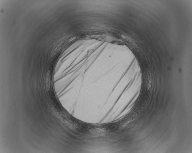 X0000061120594200512161441
