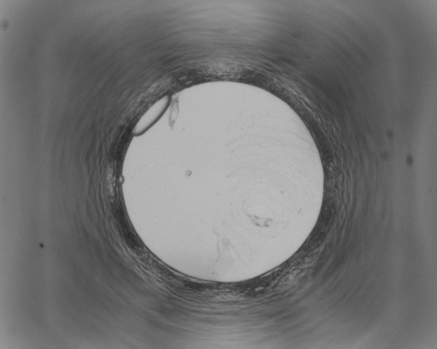 X0000061120597200512161441
