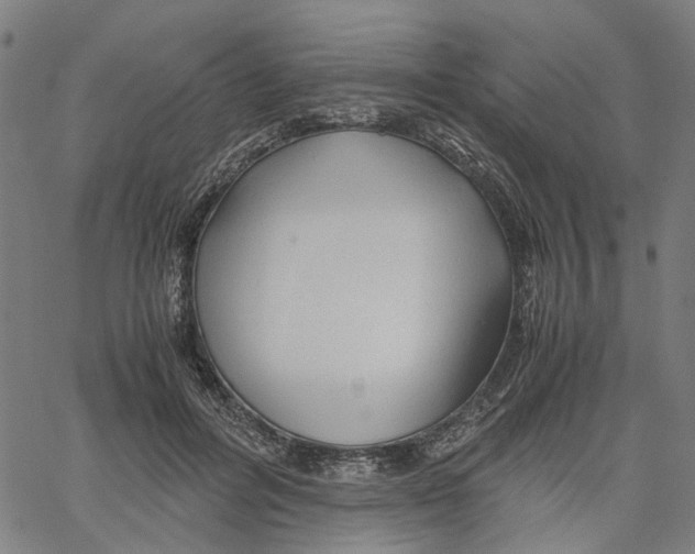 X0000061120600200512161441