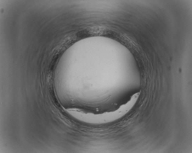 X0000061120601200512161441