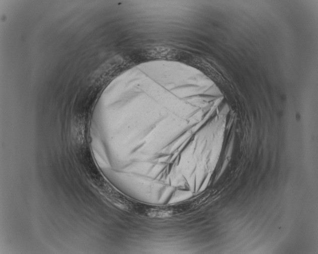 X0000061120602200512161441