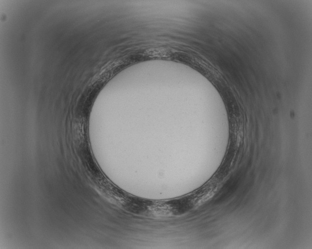 X0000061120603200512161441