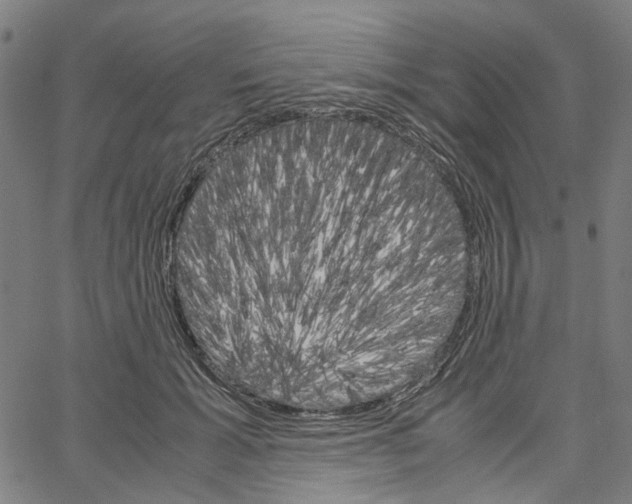 X0000061120605200512161441