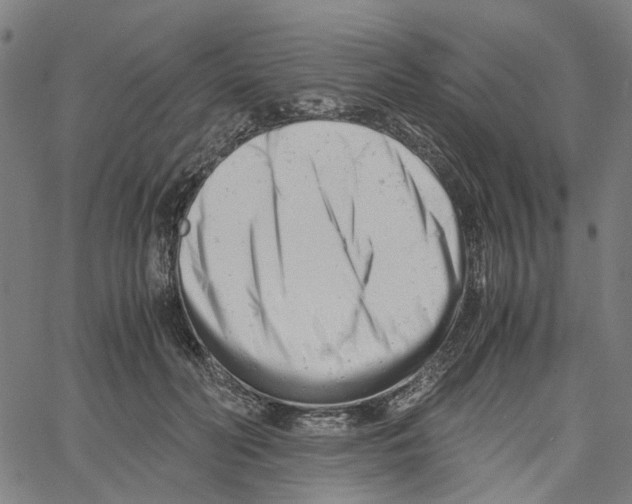 X0000061120606200512161441