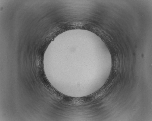 X0000061120608200512161441