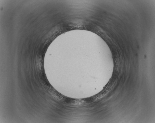 X0000061120612200512161441