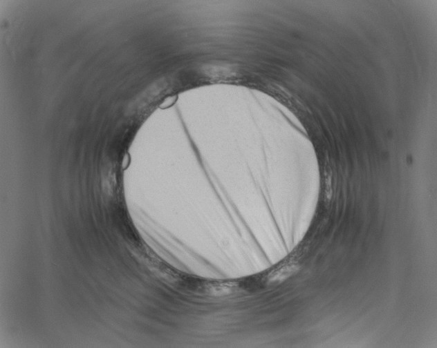 X0000061120618200512161441