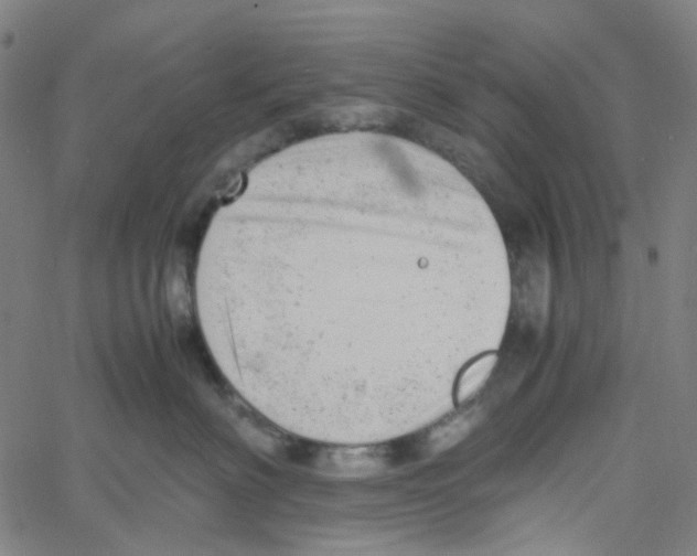 X0000061120622200512161441