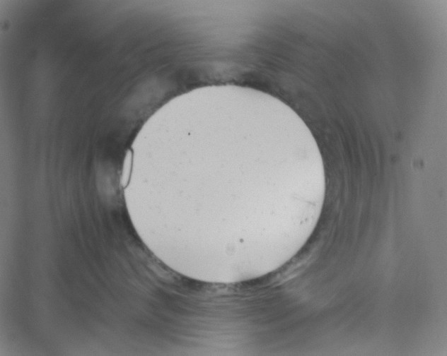 X0000061120624200512161441