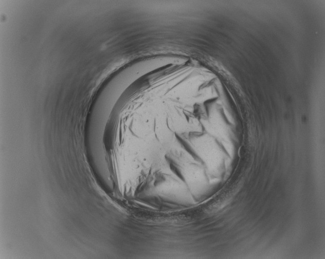 X0000061120625200512161440