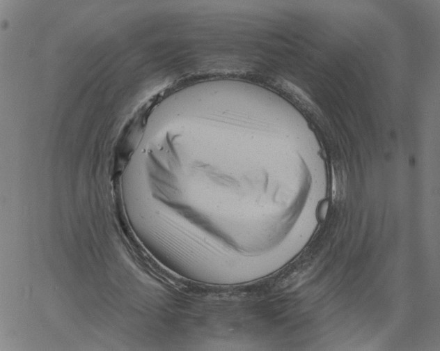X0000061120627200512161440