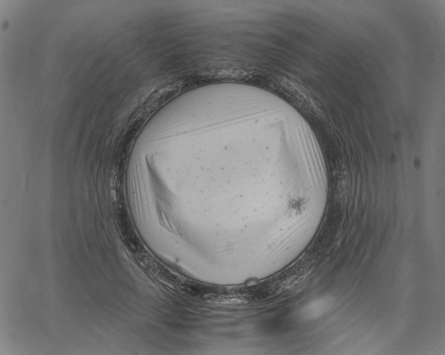 X0000061120643200512161440