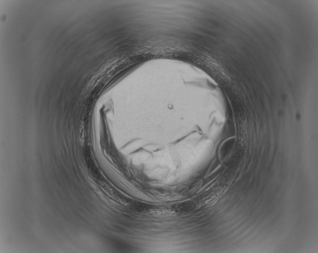 X0000061120644200512161440