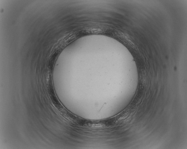 X0000061120645200512161440
