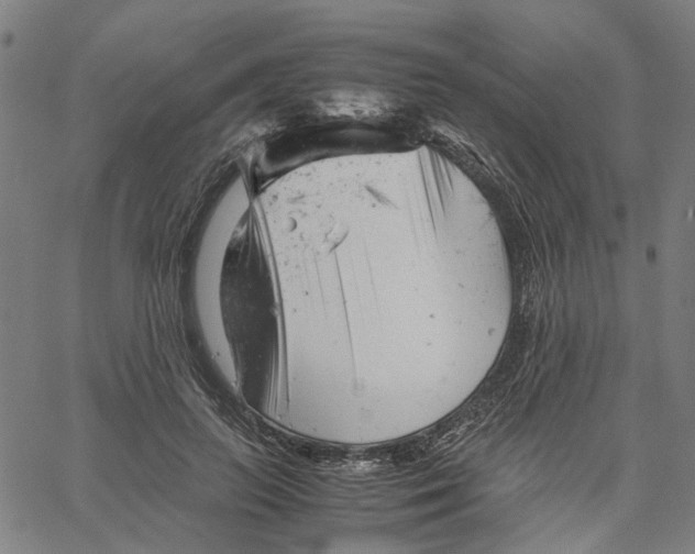 X0000061120647200512161440