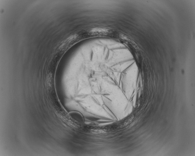X0000061120649200512161440
