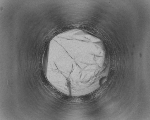 X0000061120656200512161440