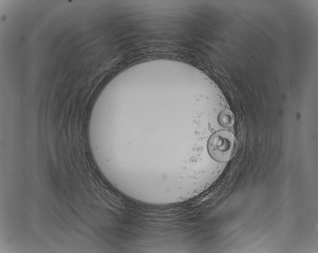 X0000061120657200512161440