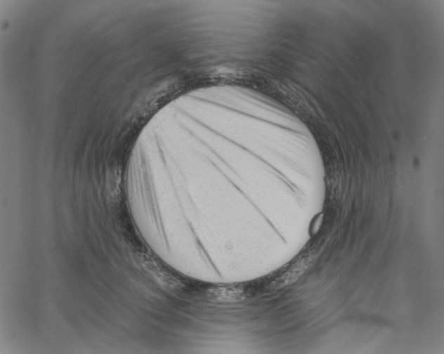 X0000061120660200512161440
