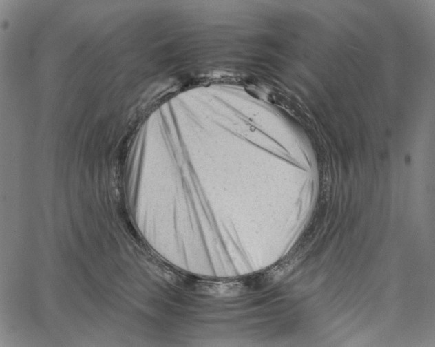X0000061120663200512161440