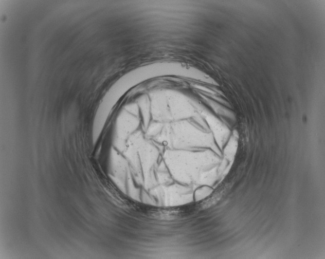 X0000061120664200512161440