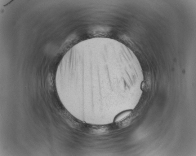 X0000061120667200512161441