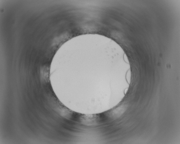 X0000061120672200512161441