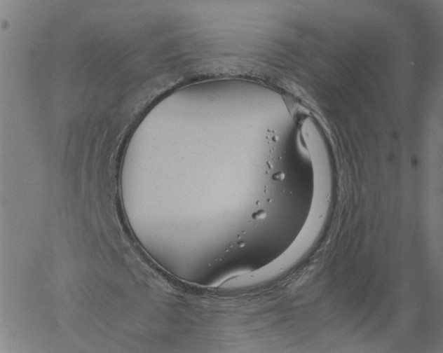 X0000061120673200512161440