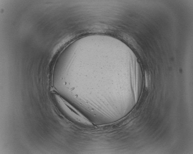 X0000061120675200512161440