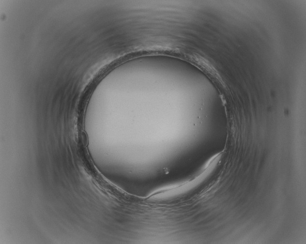 X0000061120676200512161440