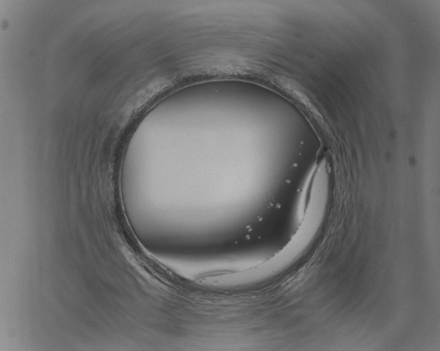 X0000061120677200512161440