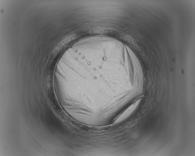 X0000061120683200512161440