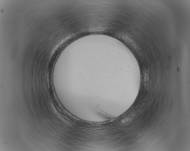 X0000061120684200512161440
