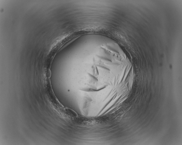 X0000061120688200512161440