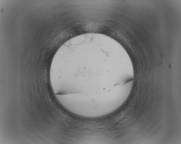 X0000061120689200512161440