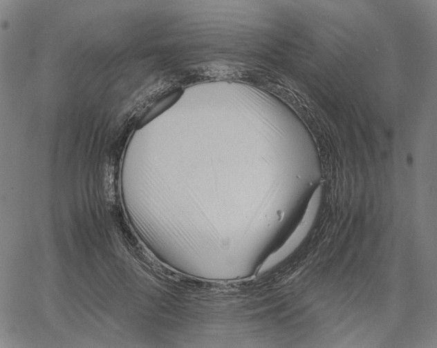 X0000061120696200512161439