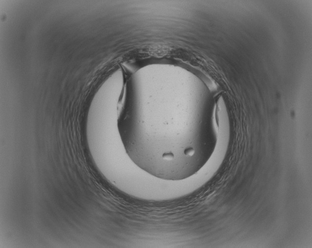 X0000061120697200512161439