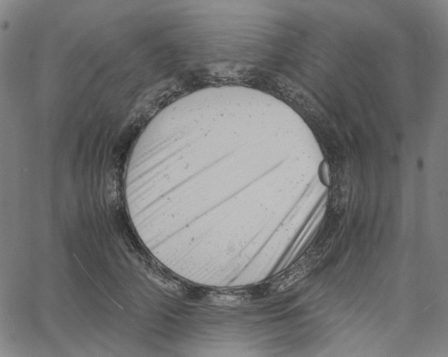 X0000061120706200512161439