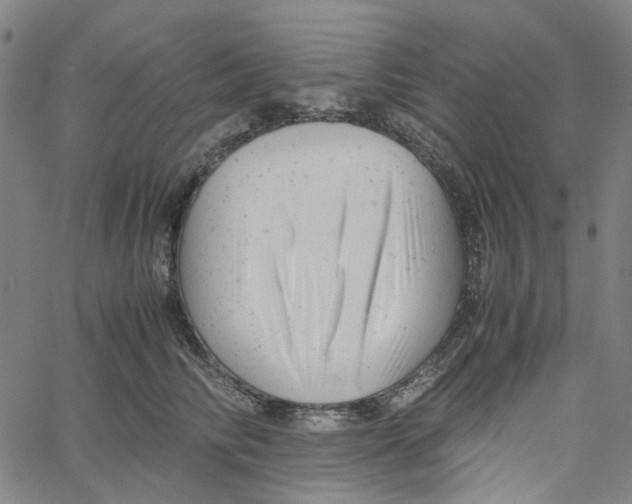 X0000061120710200512161439