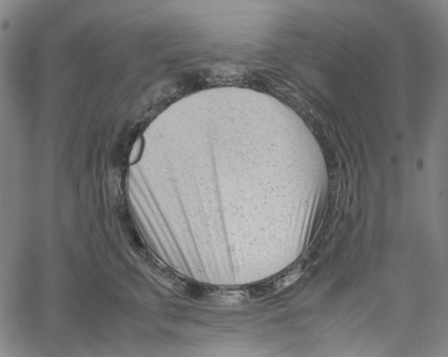 X0000061120711200512161439