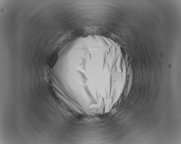 X0000061120712200512161439