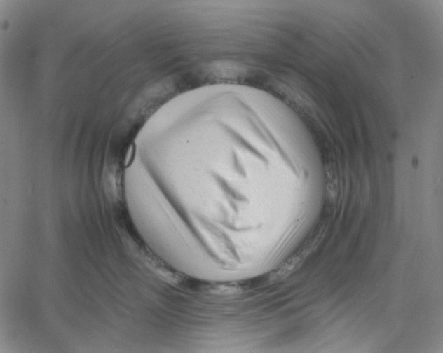 X0000061120718200512161439
