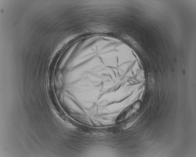 X0000061120726200512161438