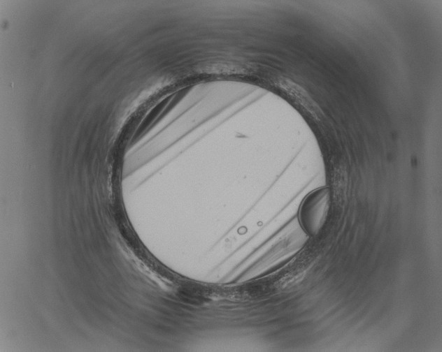 X0000061120727200512161438