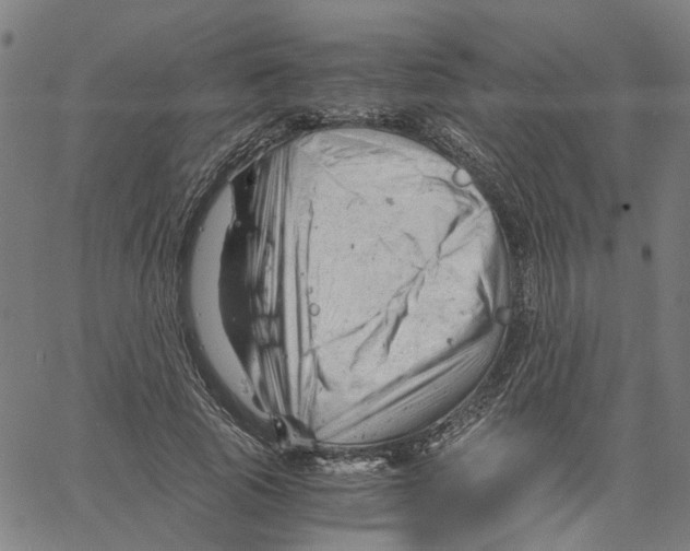 X0000061120737200512161439