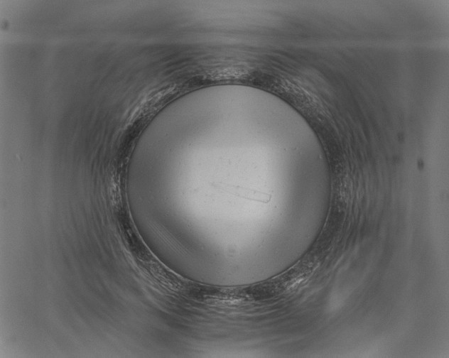 X0000061120743200512161439
